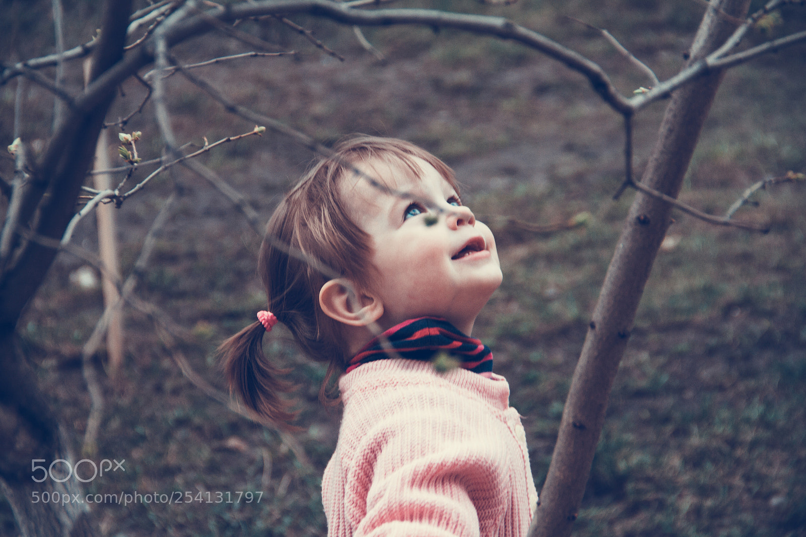 Canon EOS 7D sample photo. Spring in vrn photography