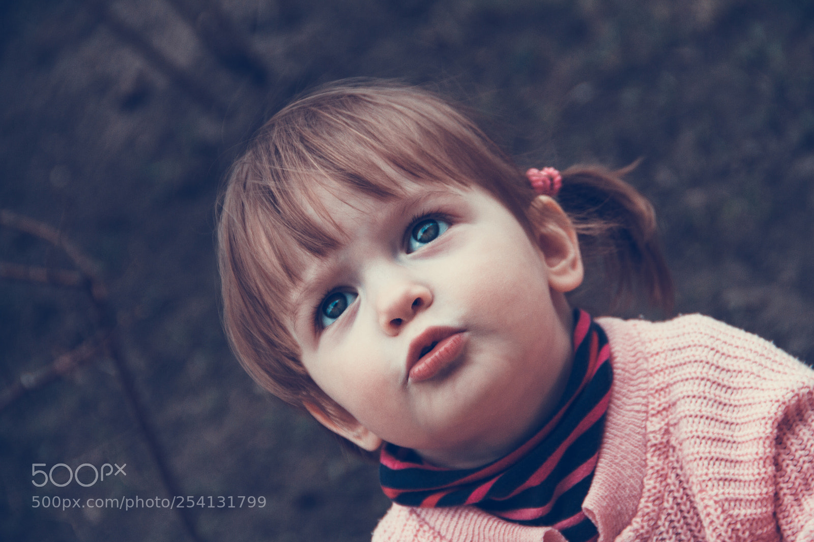 Canon EOS 7D sample photo. A look into the photography