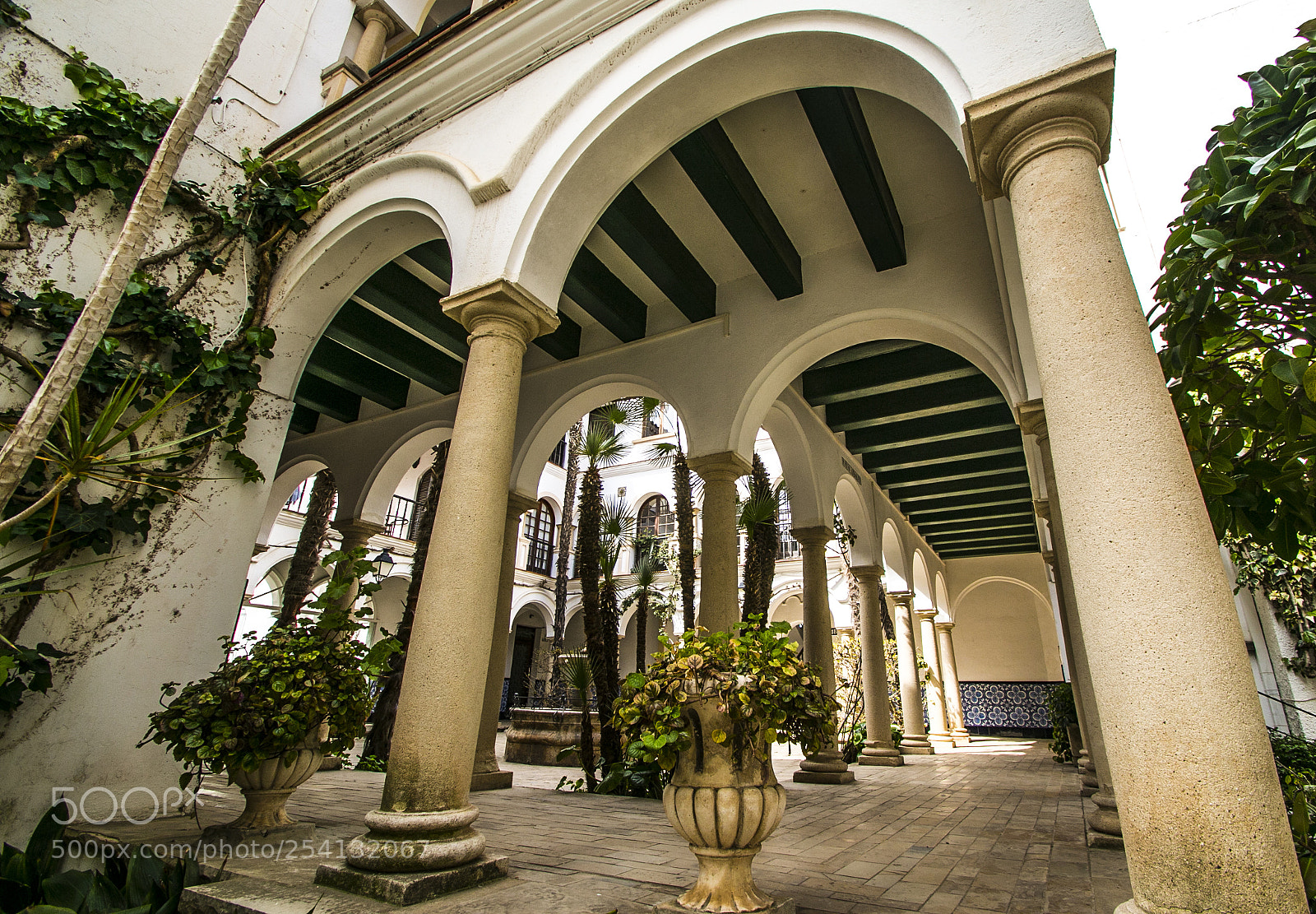 Canon EOS 70D sample photo. Andalusian yard 2 photography