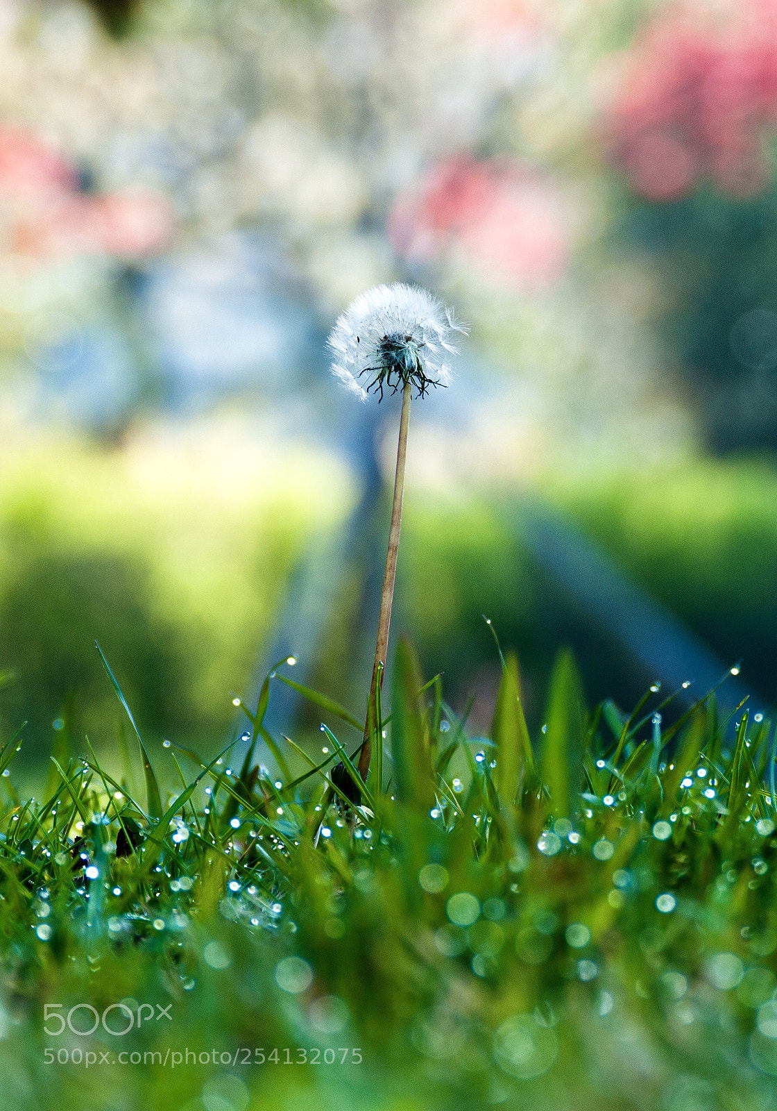 Nikon D80 sample photo. Lonely moring photography