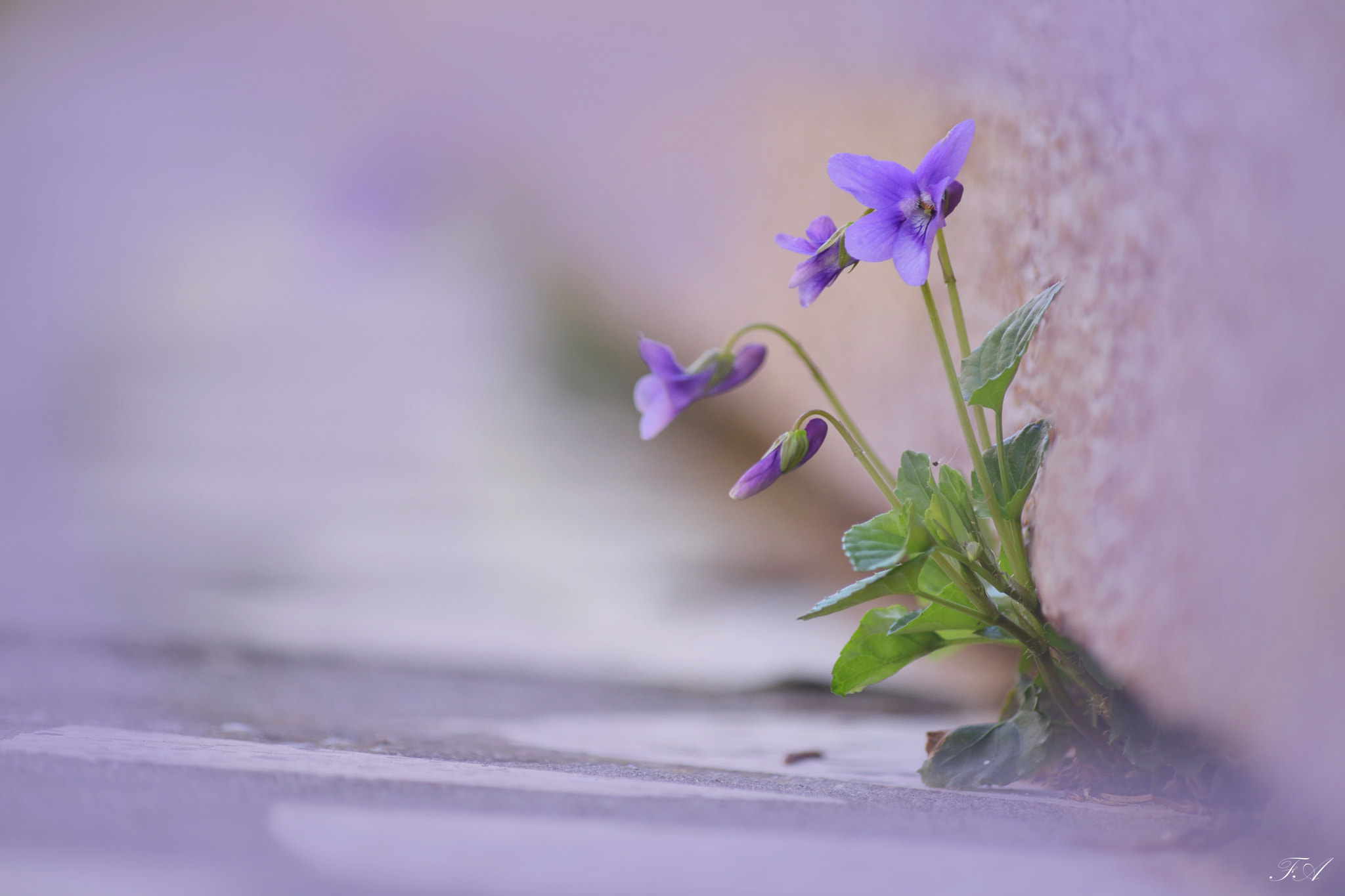 Nikon D3300 sample photo