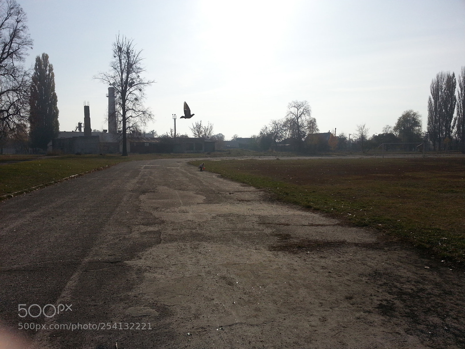 Samsung Galaxy Note2 sample photo. Bird-spring.jpg photography