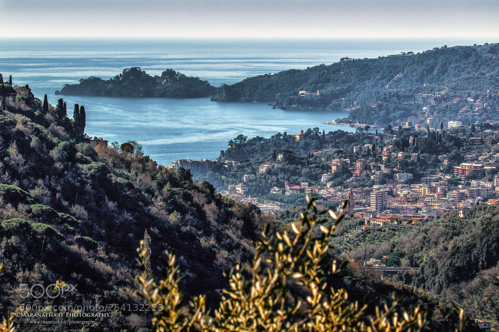 Canon EOS 7D Mark II sample photo. Tigullio occidentale photography