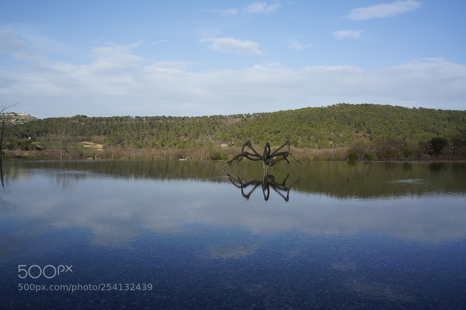 Sony Alpha NEX-5N sample photo. L'araign e de l.bourgeois photography