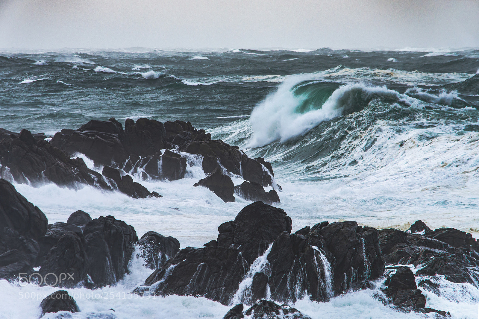 Nikon D800 sample photo. "rock and wave" photography