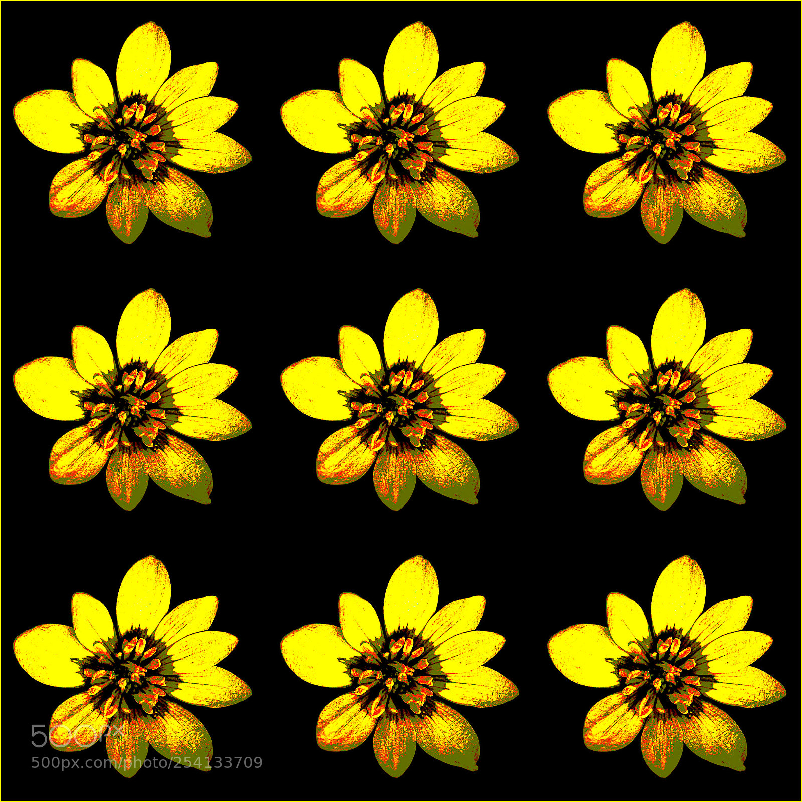 Canon EOS-1D X Mark II sample photo. Celandine photography