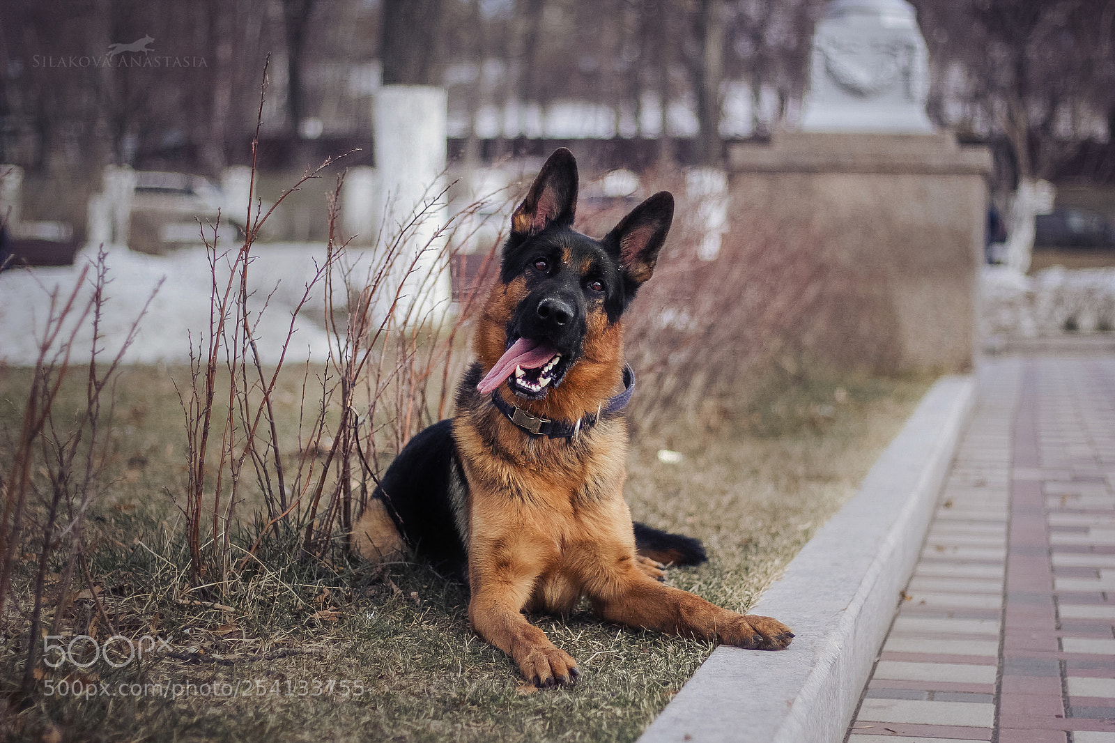 Canon EOS 60D sample photo. Big little boy photography