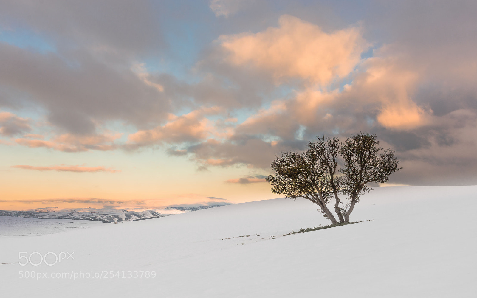 Nikon D7100 sample photo. Snows of spring photography