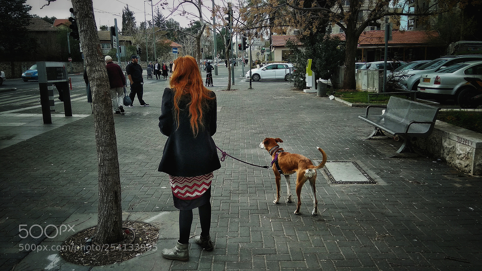 Xiaomi Redmi Note 4 sample photo. Untitled photography