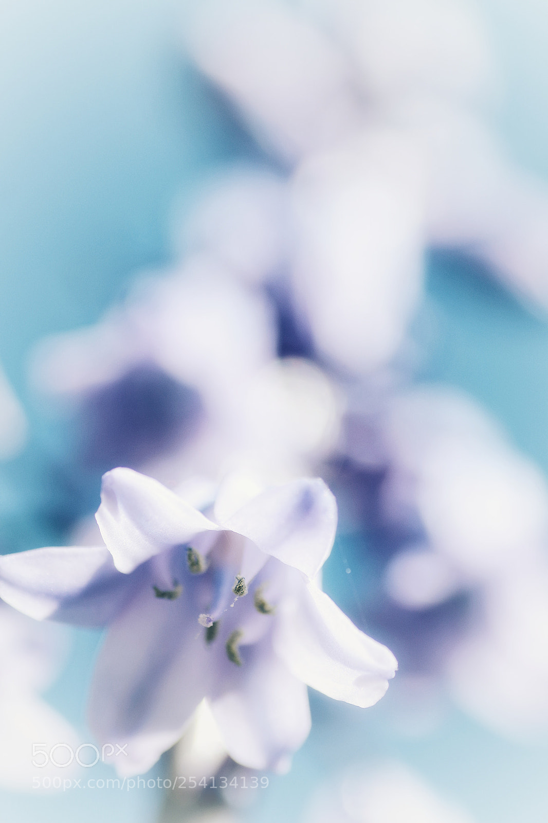 Pentax K-S2 sample photo. Dans le ciel photography