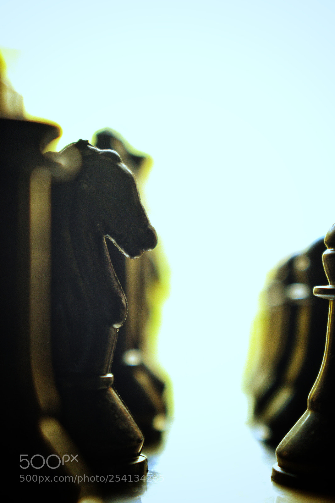Nikon D3300 sample photo. The dark knight. photography