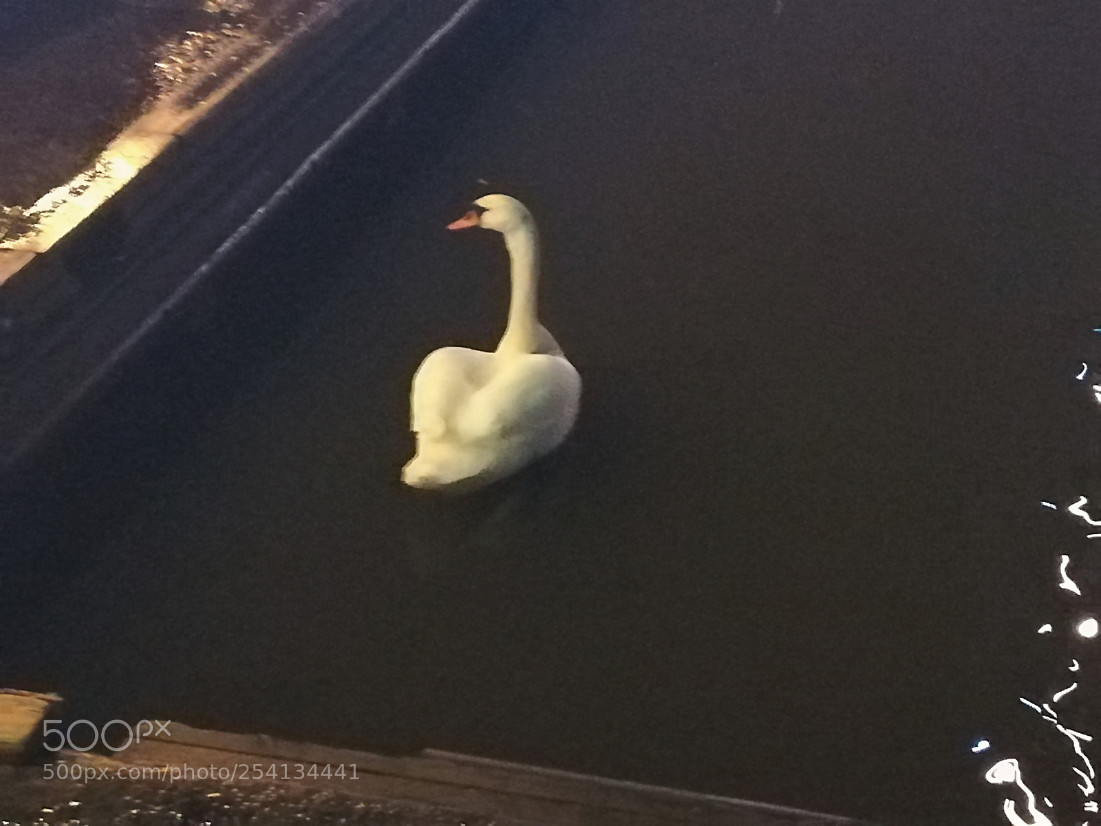 HUAWEI P10 lite sample photo. Untitled photography