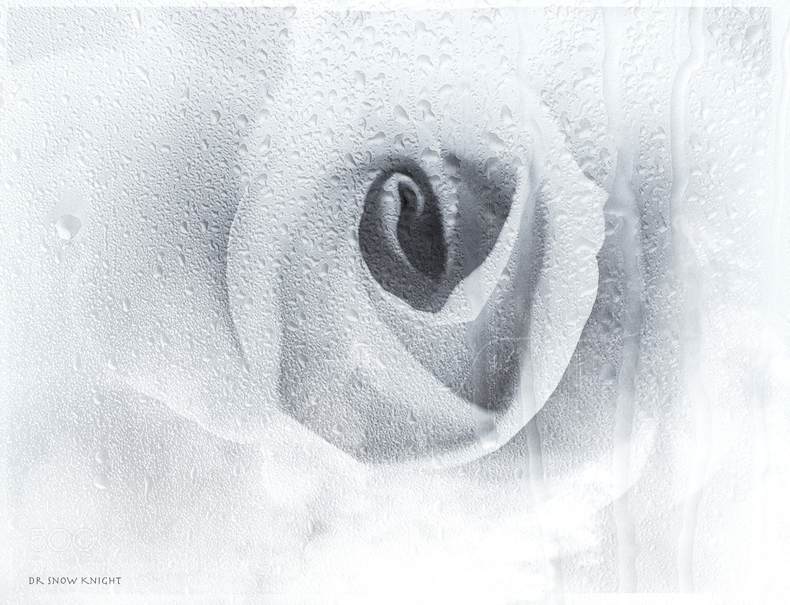 Nikon D810 sample photo. 17.jpg photography