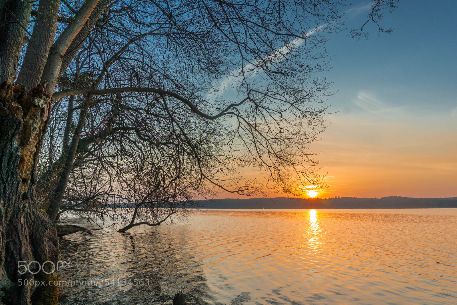 Sony a6000 sample photo. Dsc photography