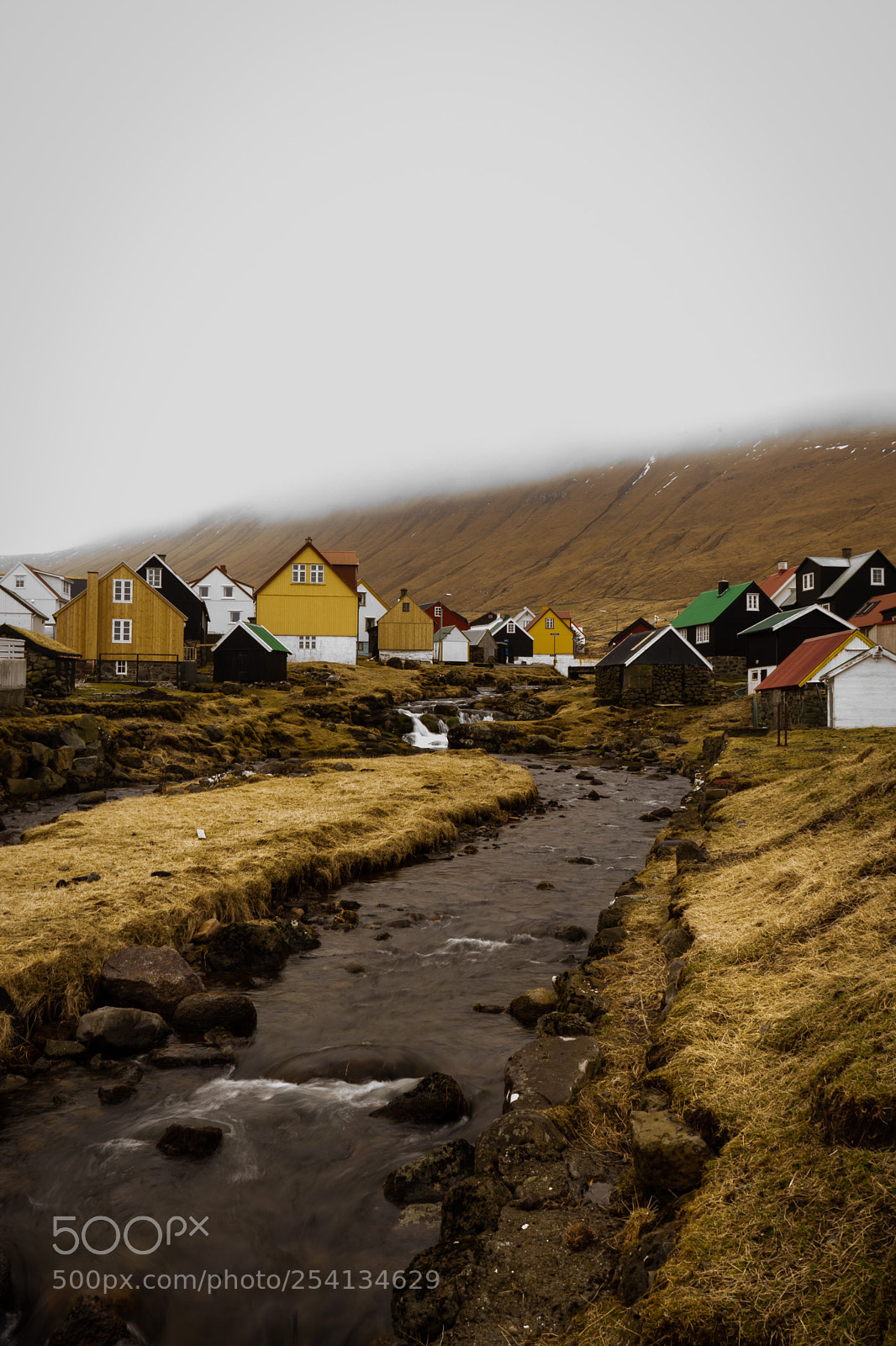 Sony a7 sample photo. Fog. photography