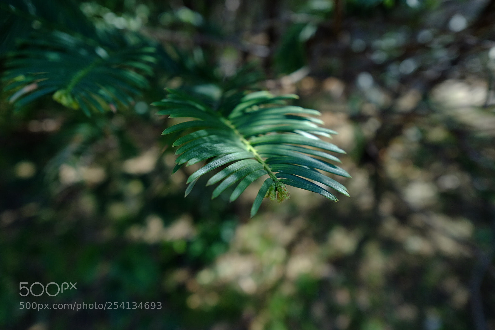 Fujifilm X-E2 sample photo. Untitled photography