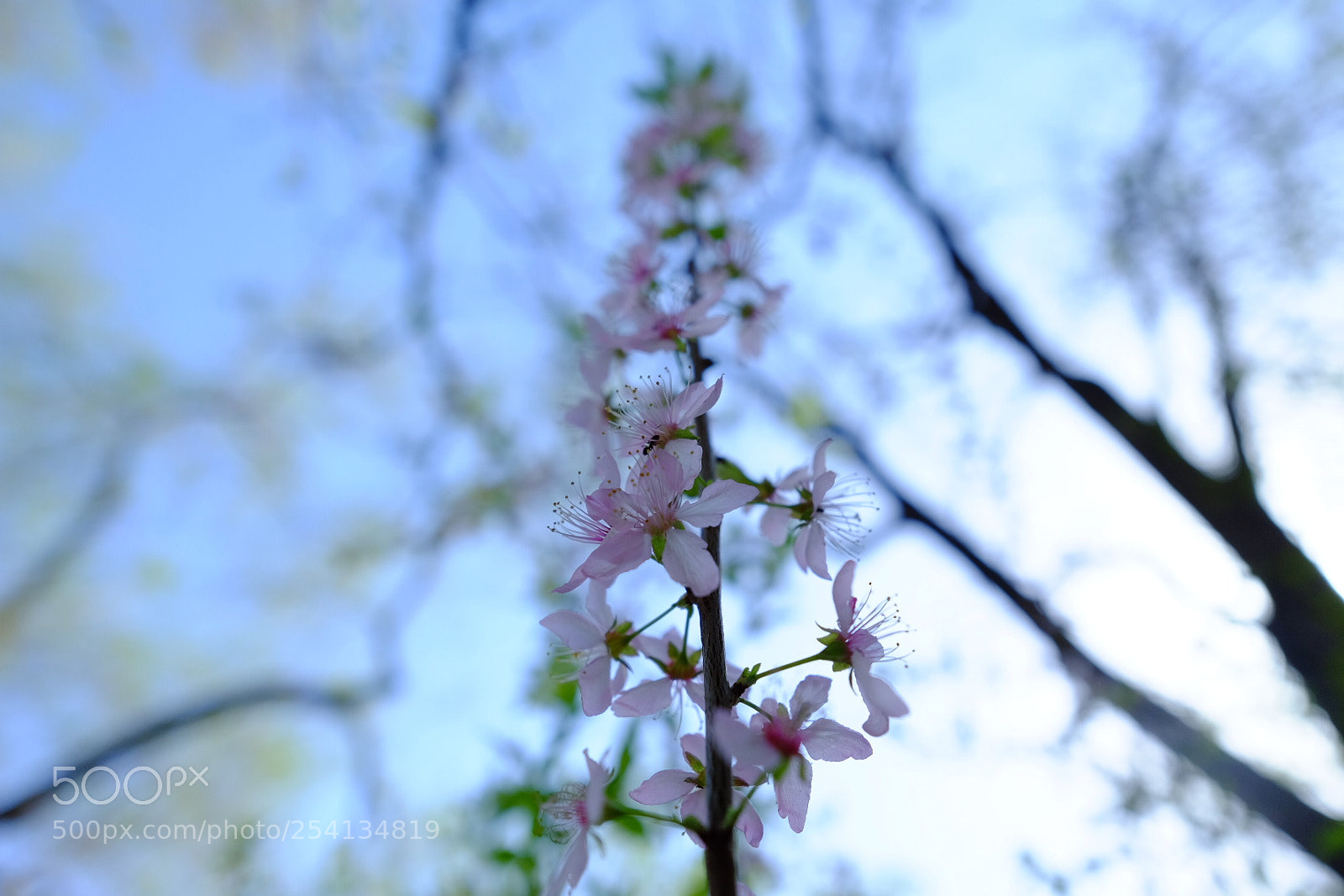 Fujifilm X-E2 sample photo. Untitled photography