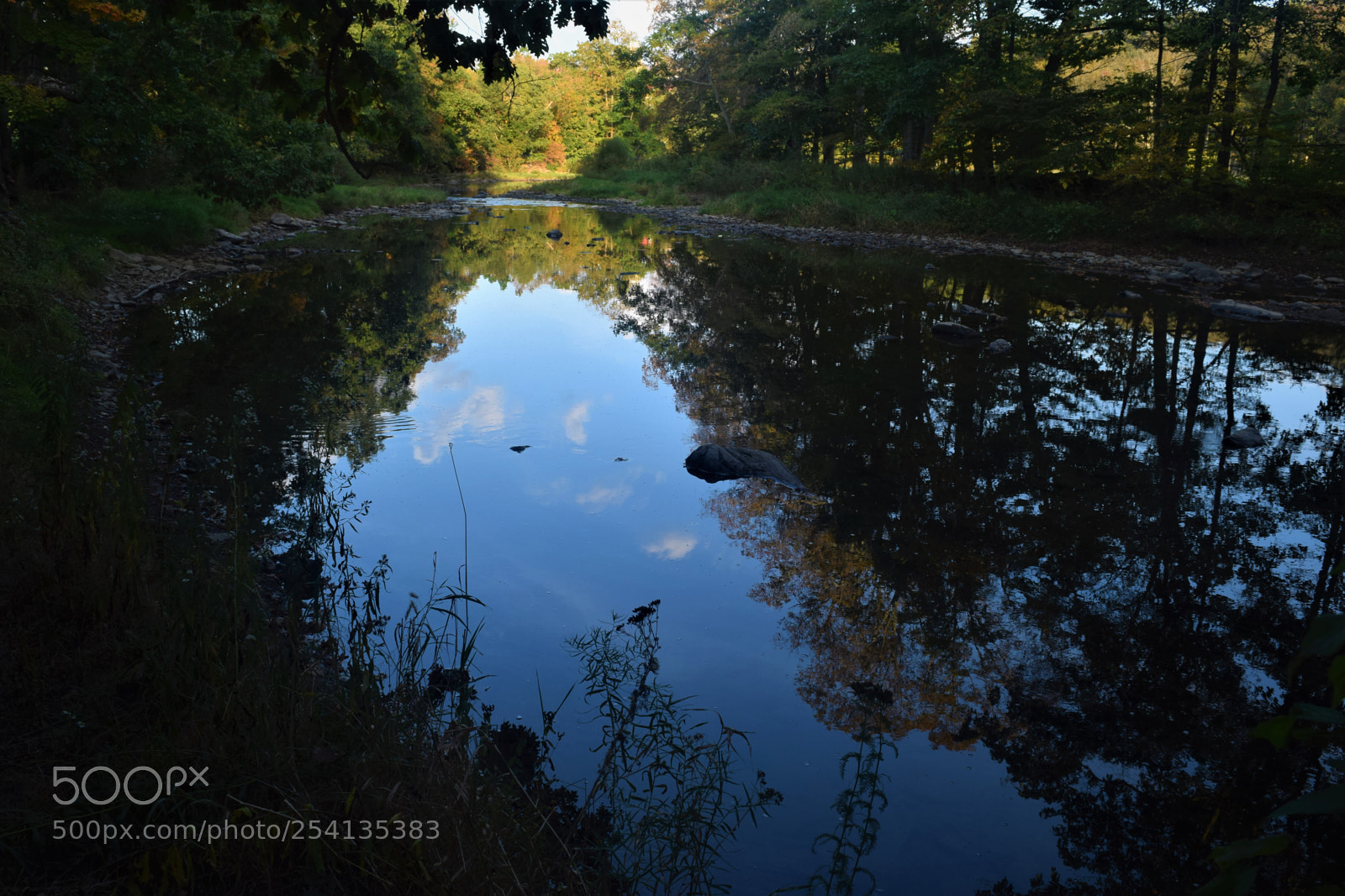 Nikon D3300 sample photo. Reflection photography