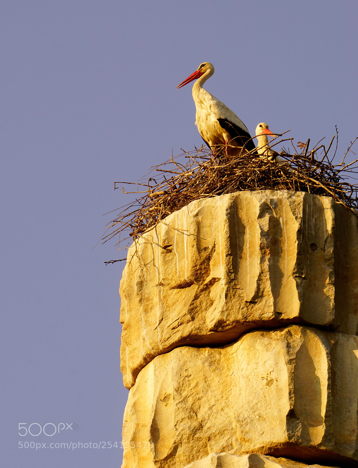 Sony a6000 sample photo. Storks on ancient stones photography