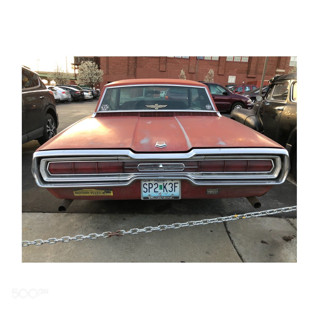 Apple iPhone 8 sample photo. Untitled photography