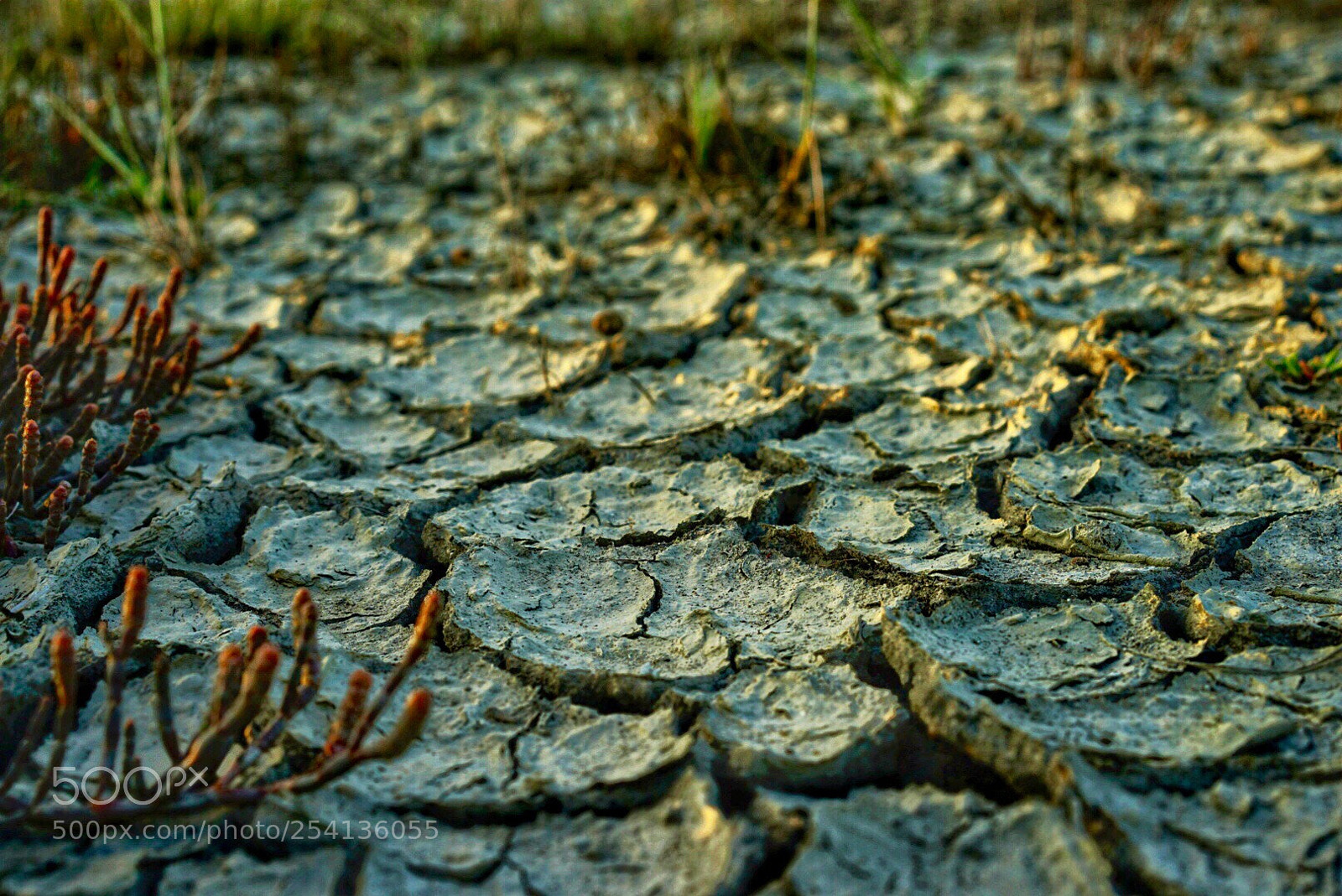 Sony a7 II sample photo. Untitled photography
