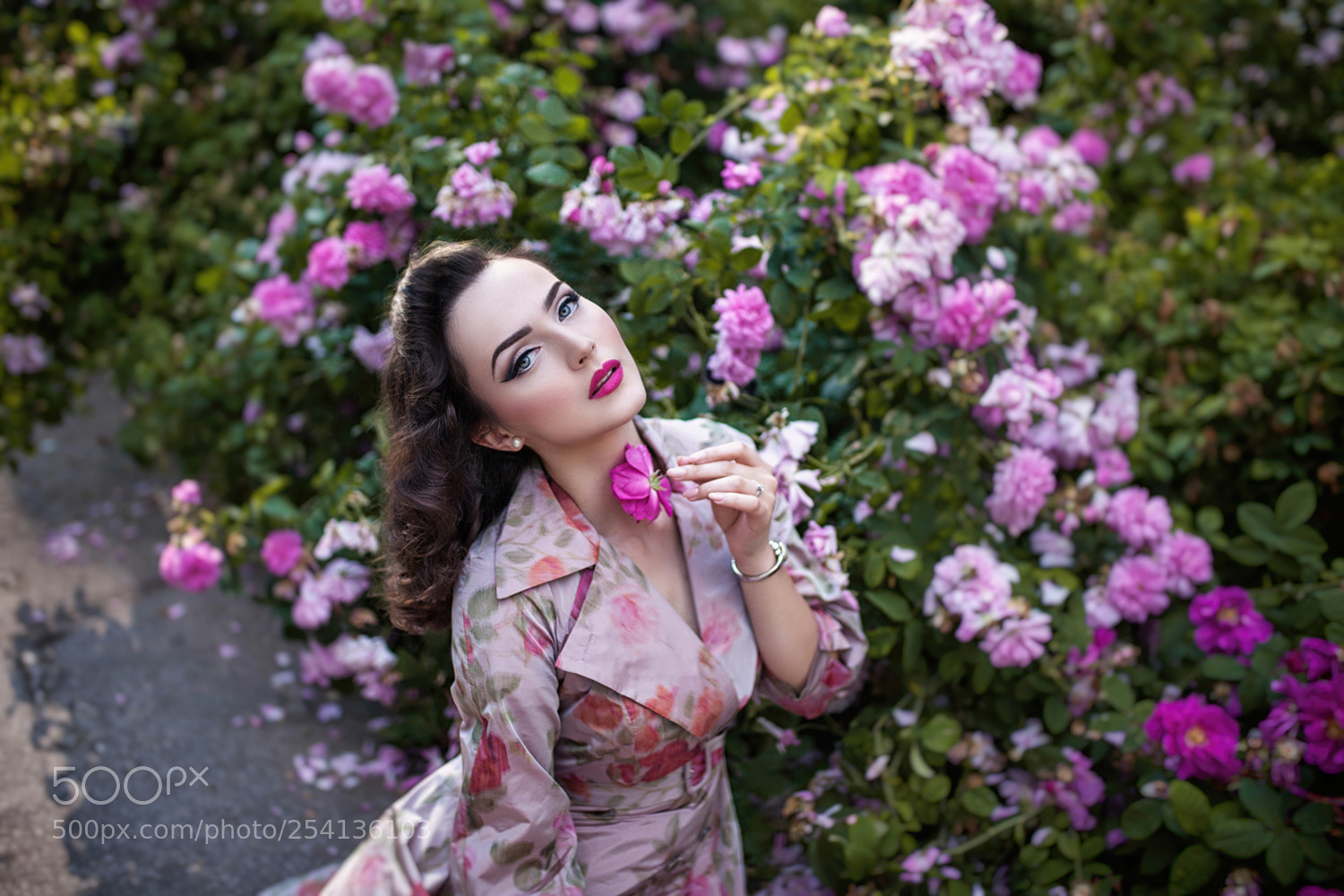 Canon EOS 5D Mark II sample photo. Vintage rose photography