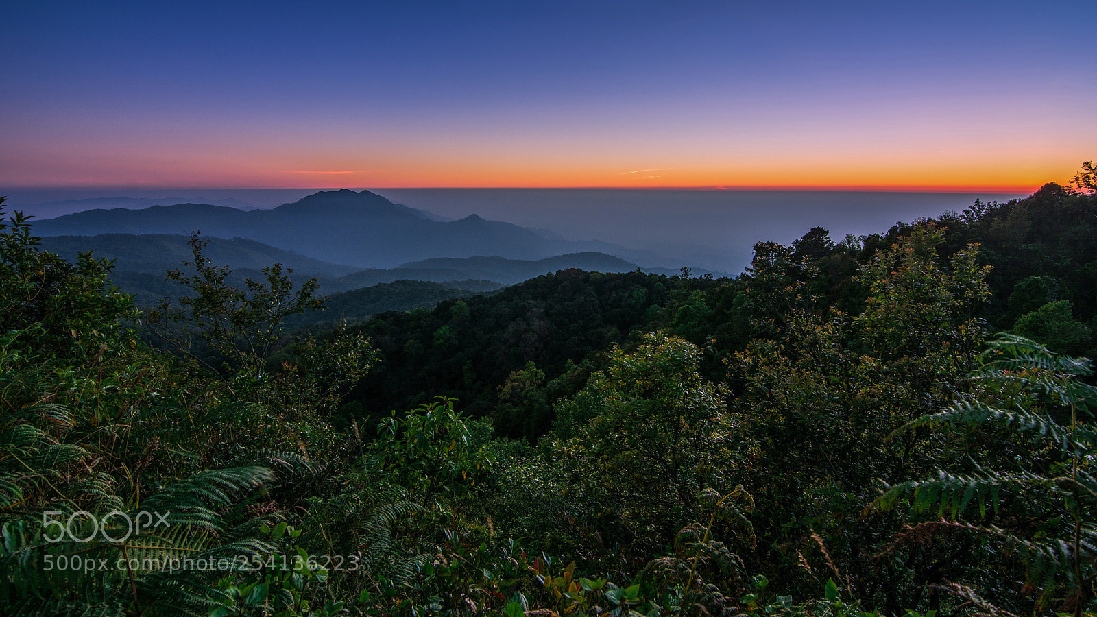 Nikon D7100 sample photo. Let's wake up! photography