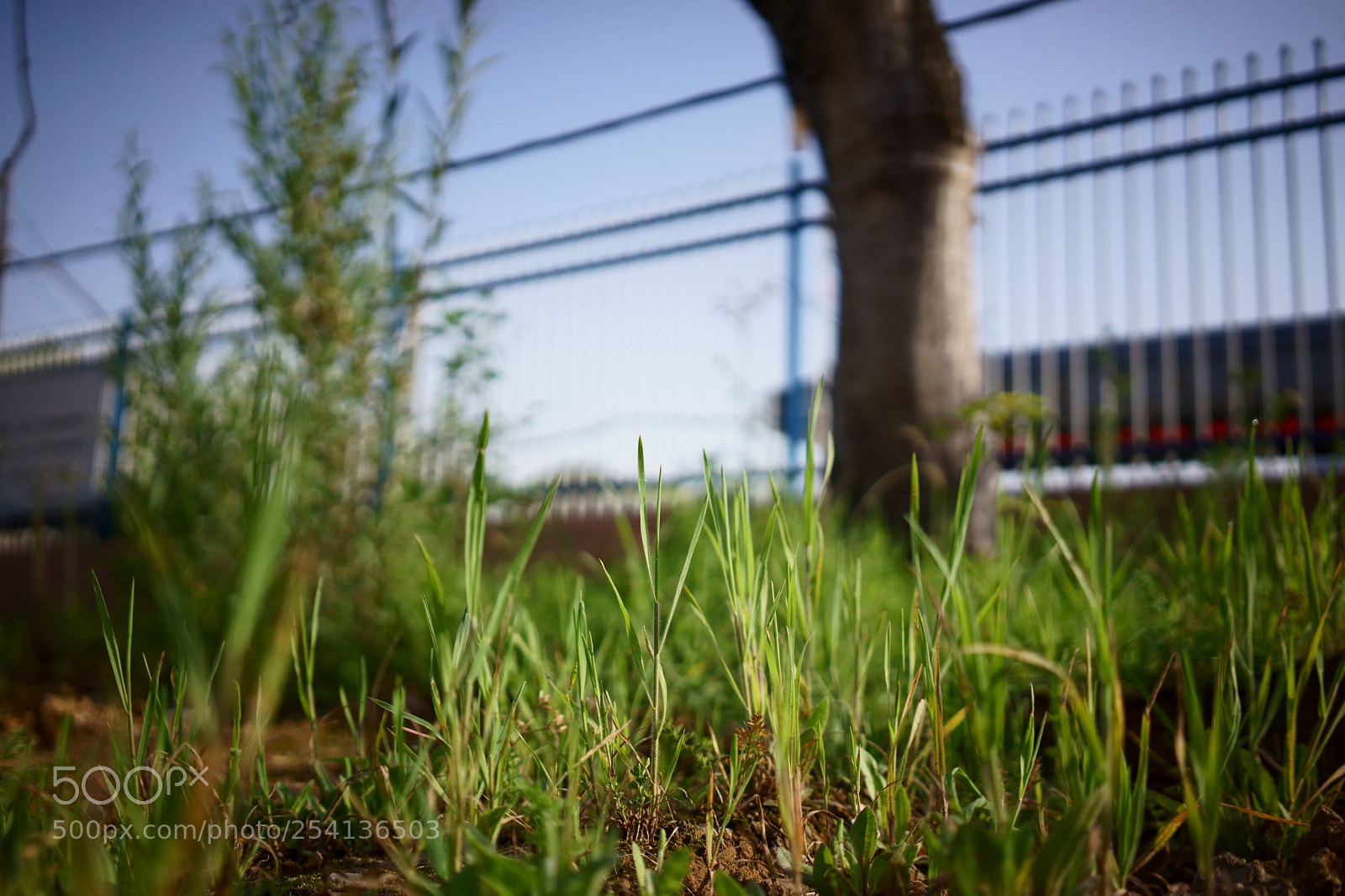 Sony a7 II sample photo. Untitled photography