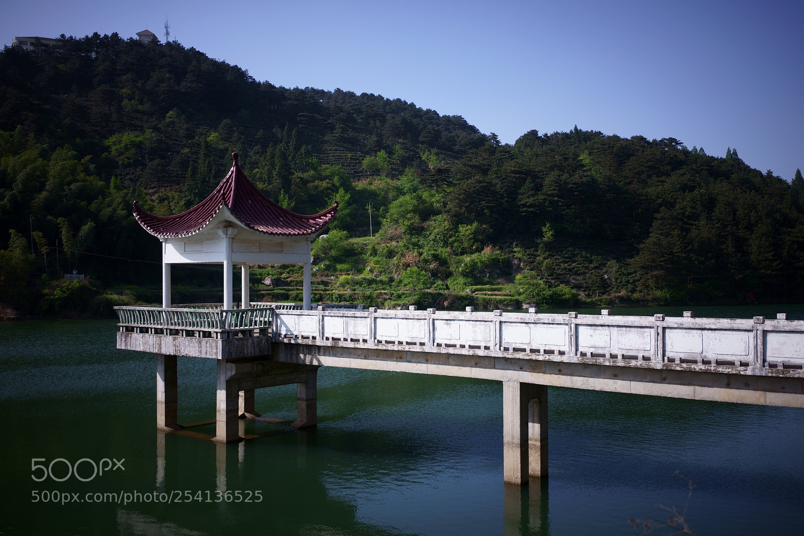 Sony a7 II sample photo. Untitled photography