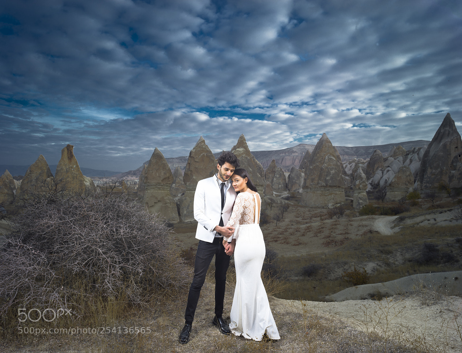 Hasselblad X1D-50c sample photo. 33333 19.50.53.jpg photography