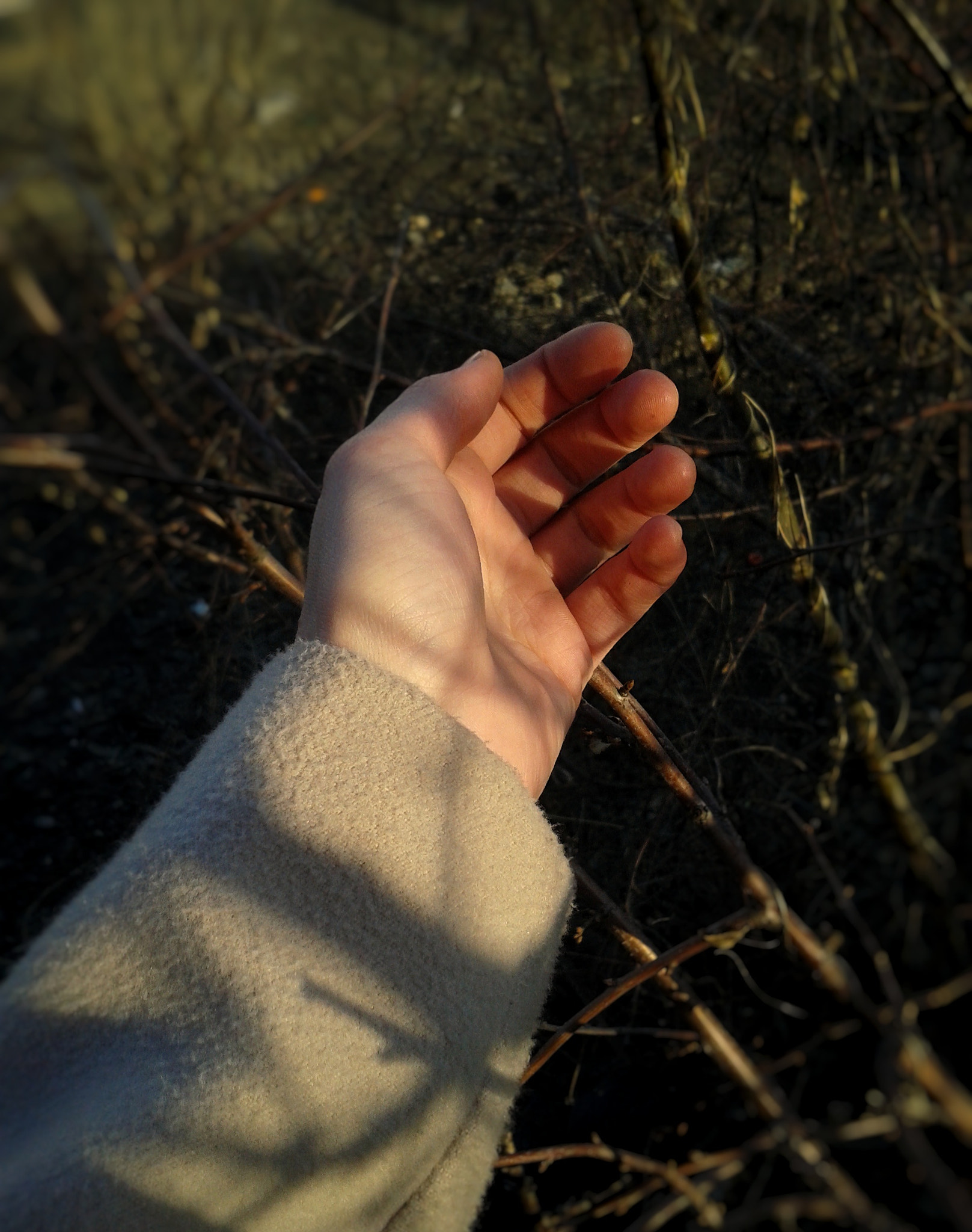 Samsung Galaxy Ace Style sample photo. Hand photography