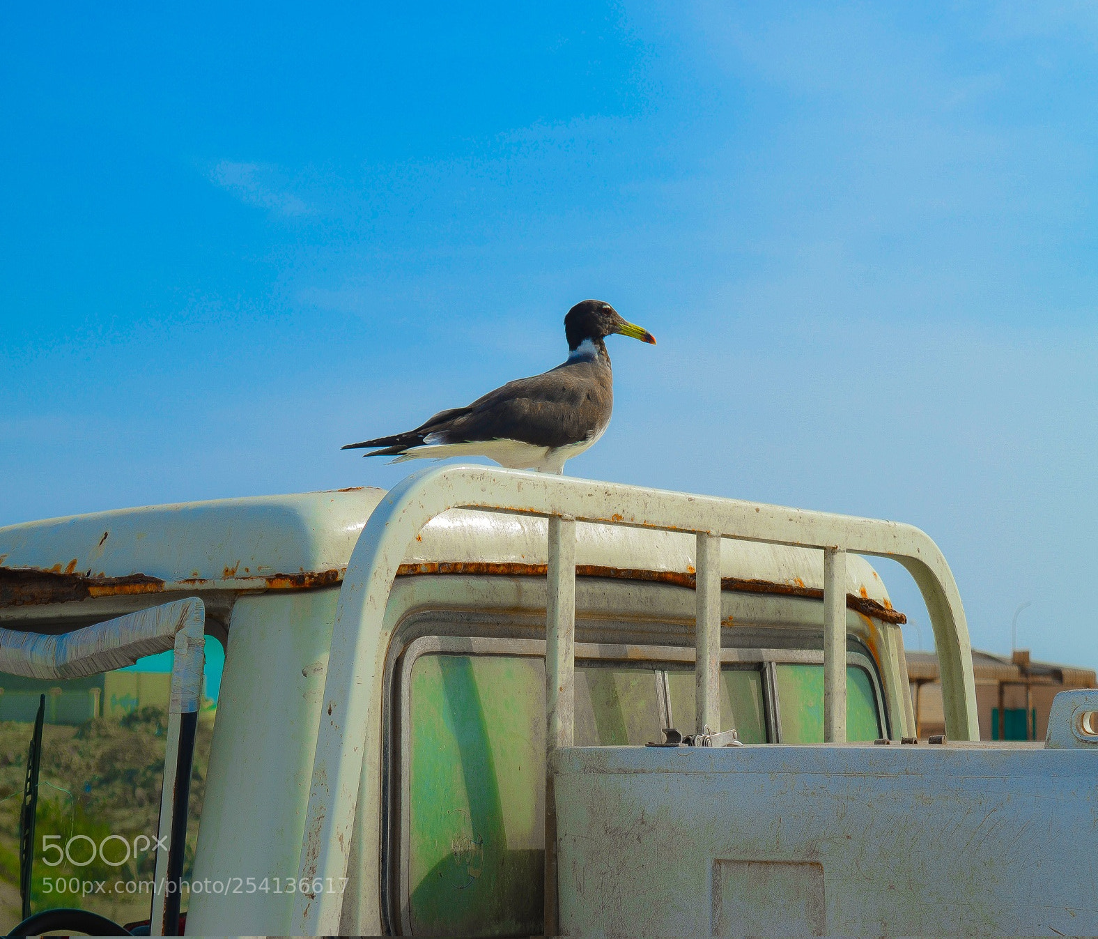Nikon D5100 sample photo. Copyse photography