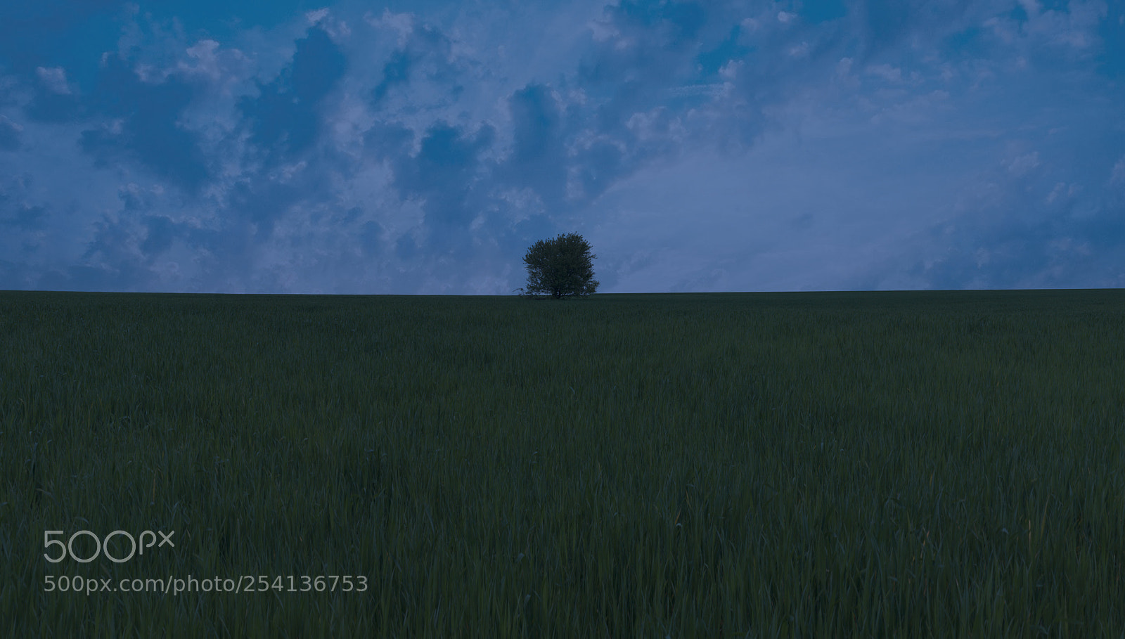 Canon EOS 1100D (EOS Rebel T3 / EOS Kiss X50) sample photo. Lonely at blue night photography