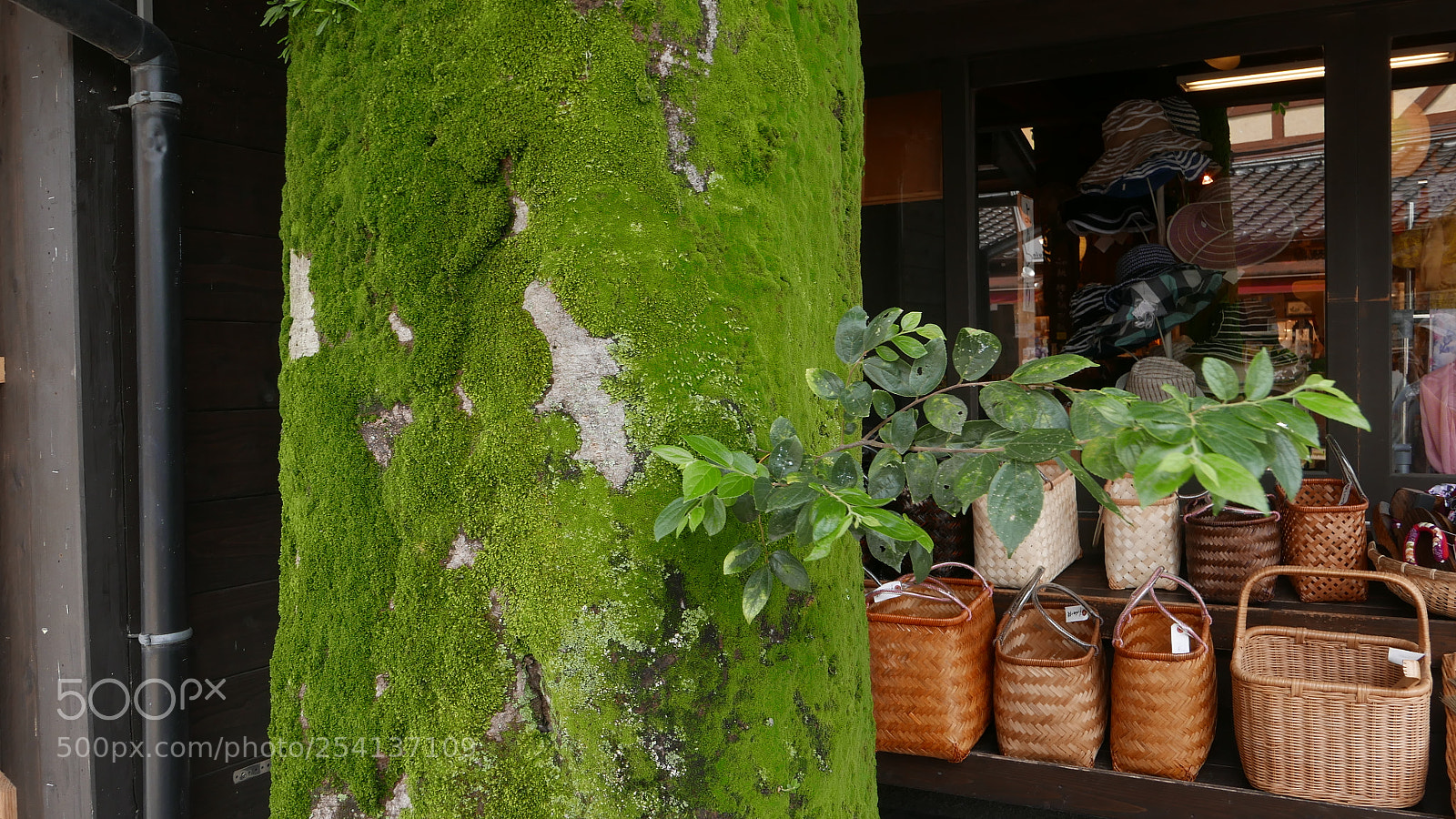 Leica D-Lux (Typ 109) sample photo. 街边。。。 photography