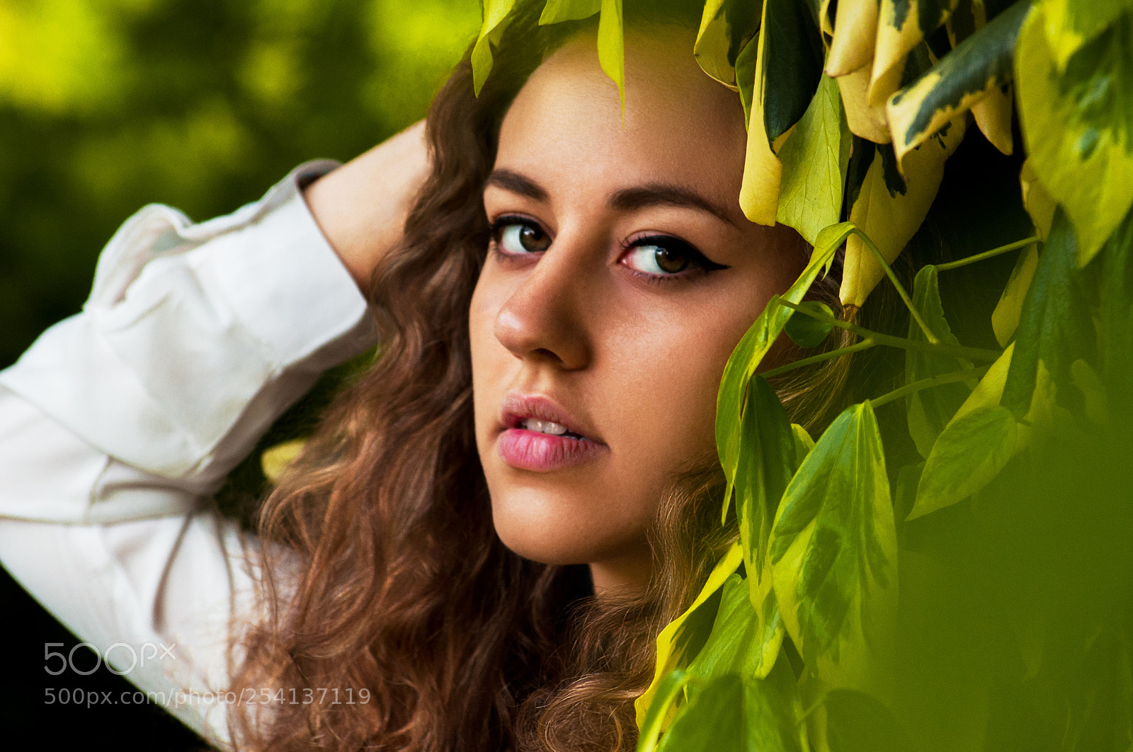 Nikon D90 sample photo. In leaves photography