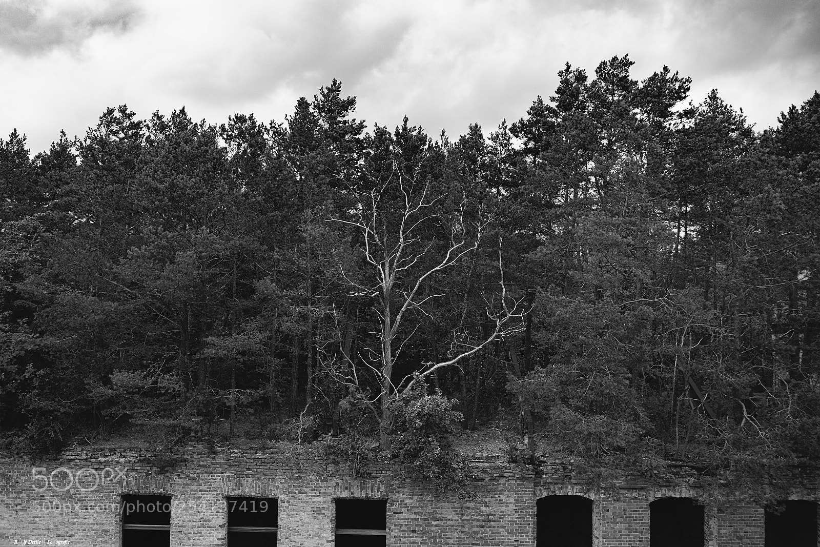 Sony a7 II sample photo. Beelitz photography