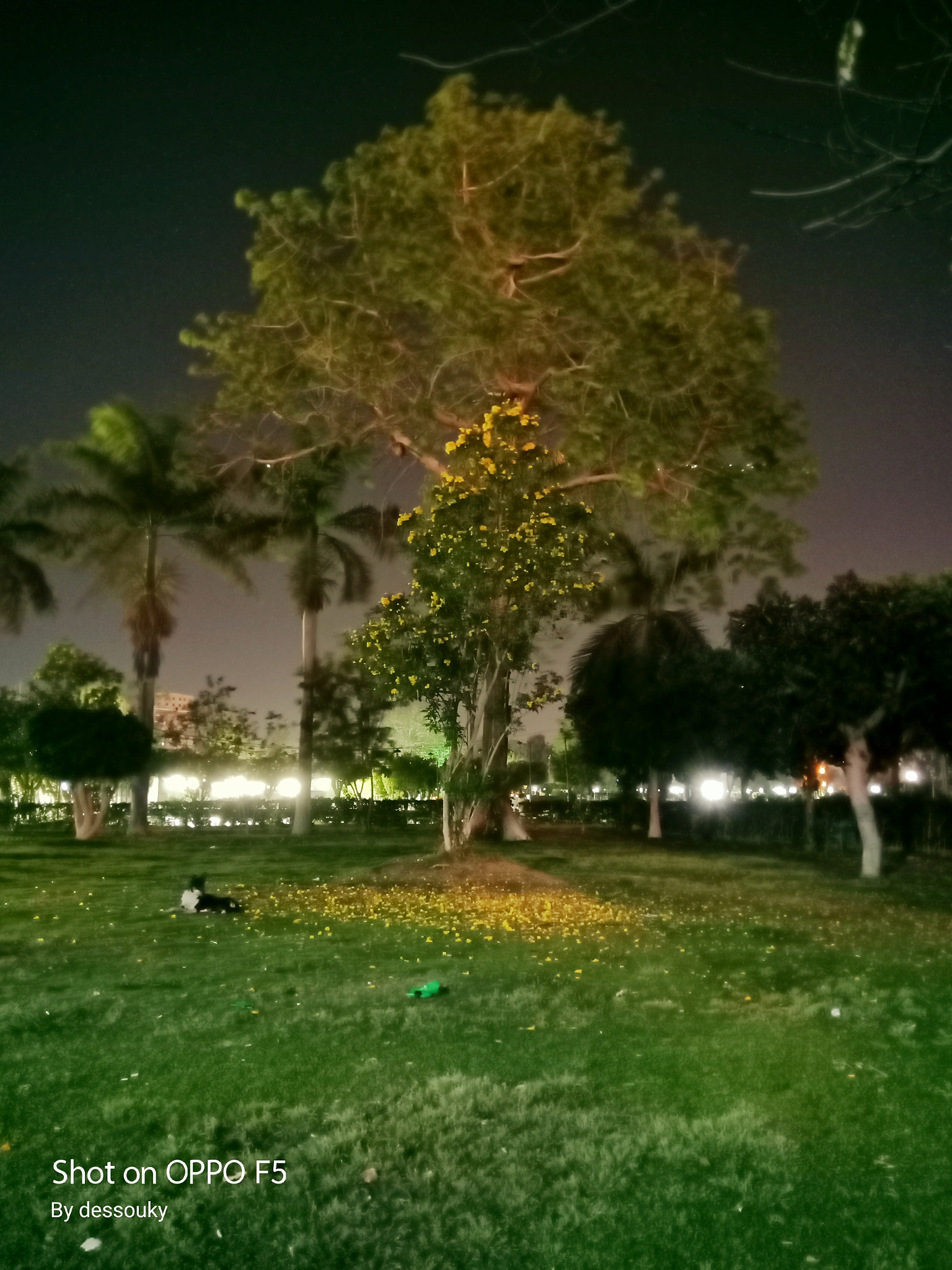 OPPO CPH1727 sample photo. Night glory photography