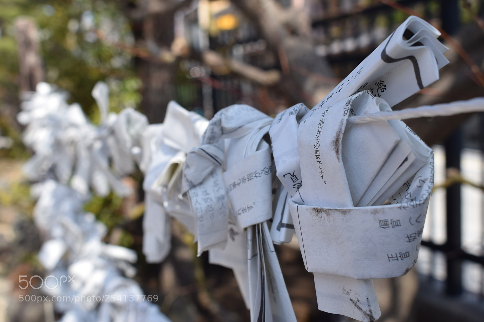Nikon D5300 sample photo. Wishes of future photography