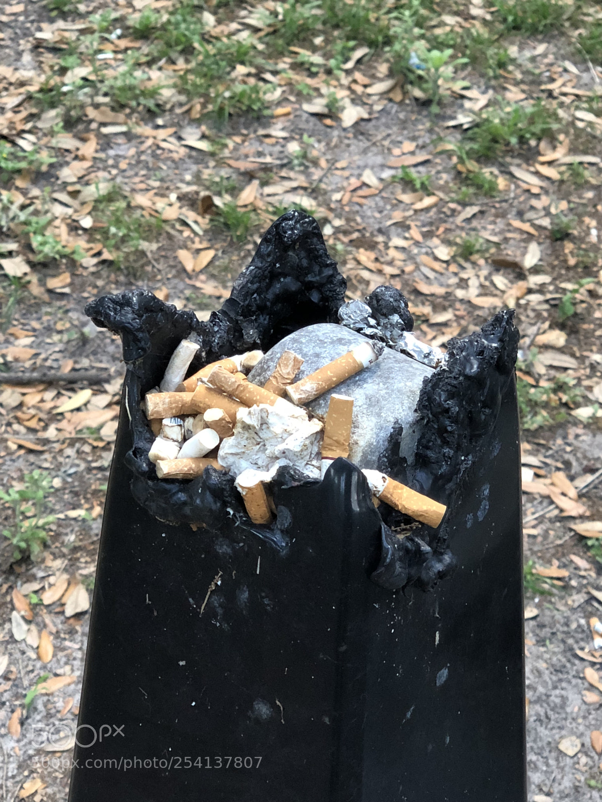 Apple iPhone X sample photo. Smoking is risky  photography