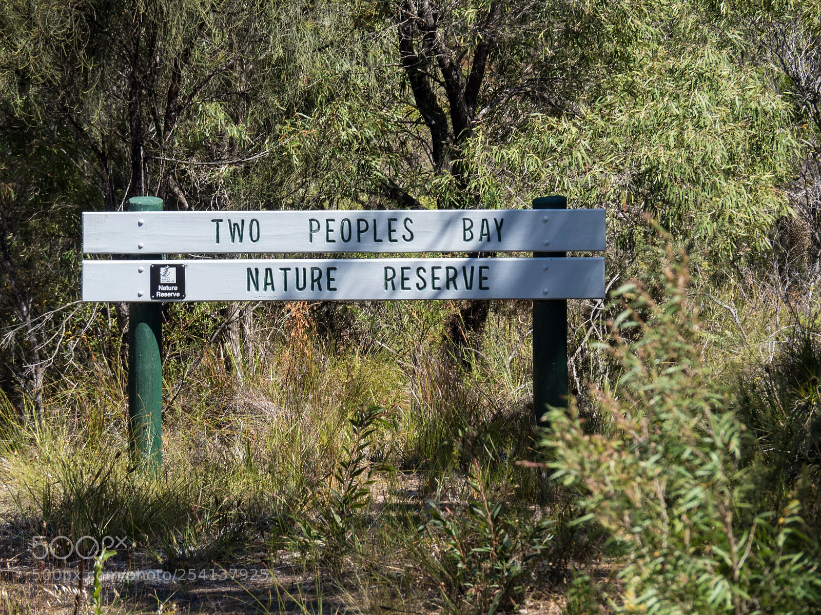 Olympus OM-D E-M5 II sample photo. Two peoples bay nature photography