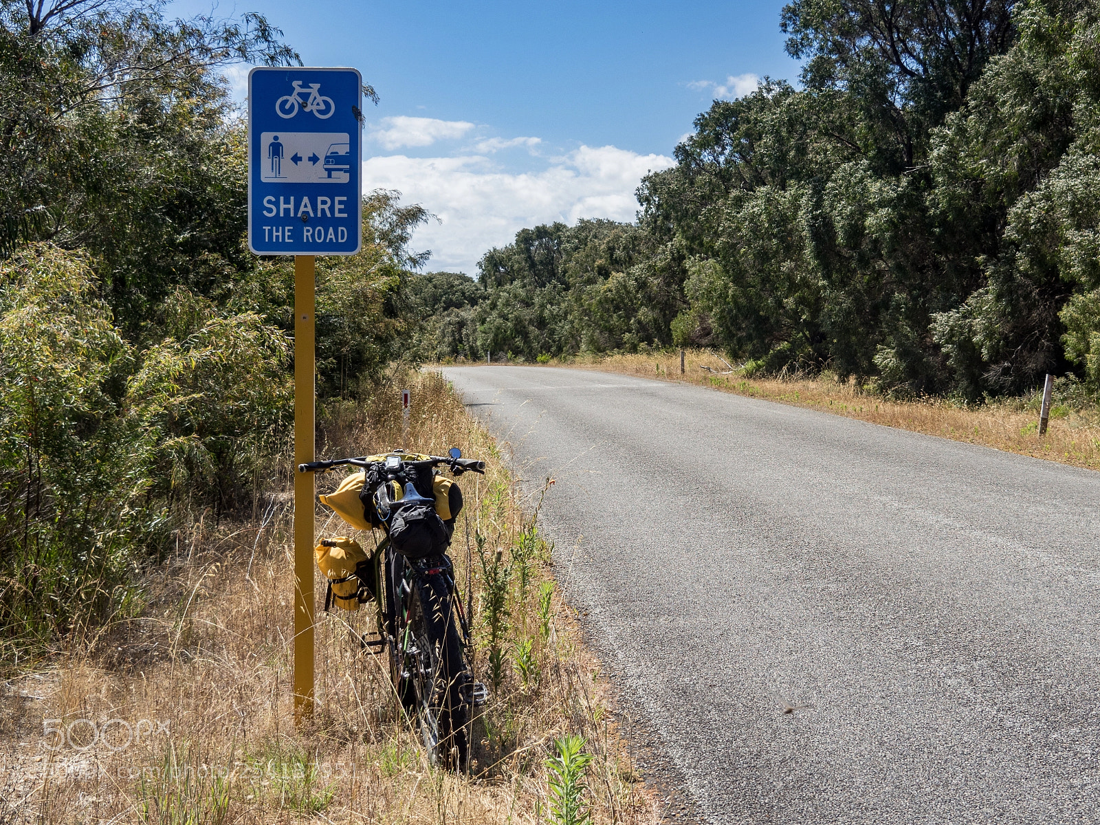 Olympus OM-D E-M5 II sample photo. Share the road day photography