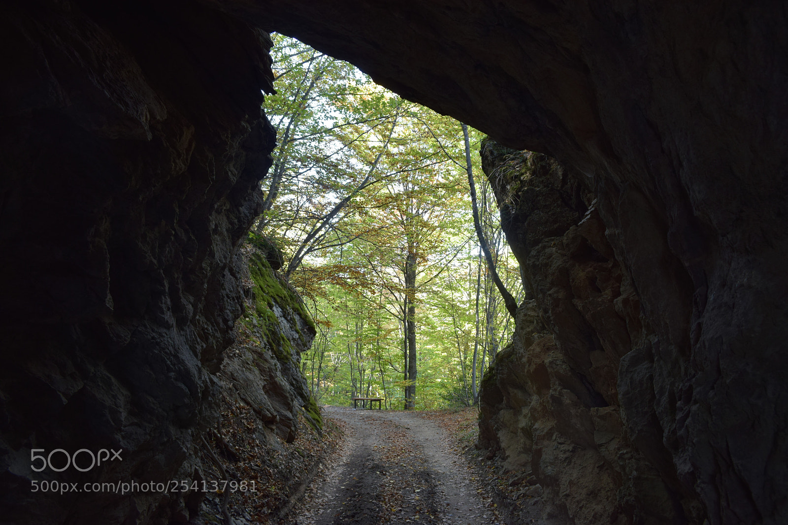 Nikon D3300 sample photo. Decauvill tunnel photography