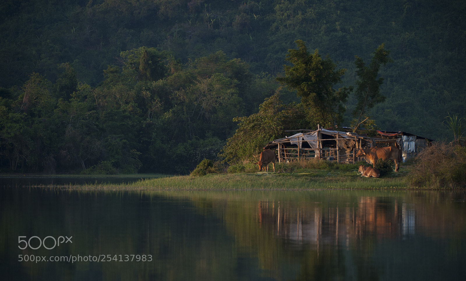 Nikon D700 sample photo. On lake photography