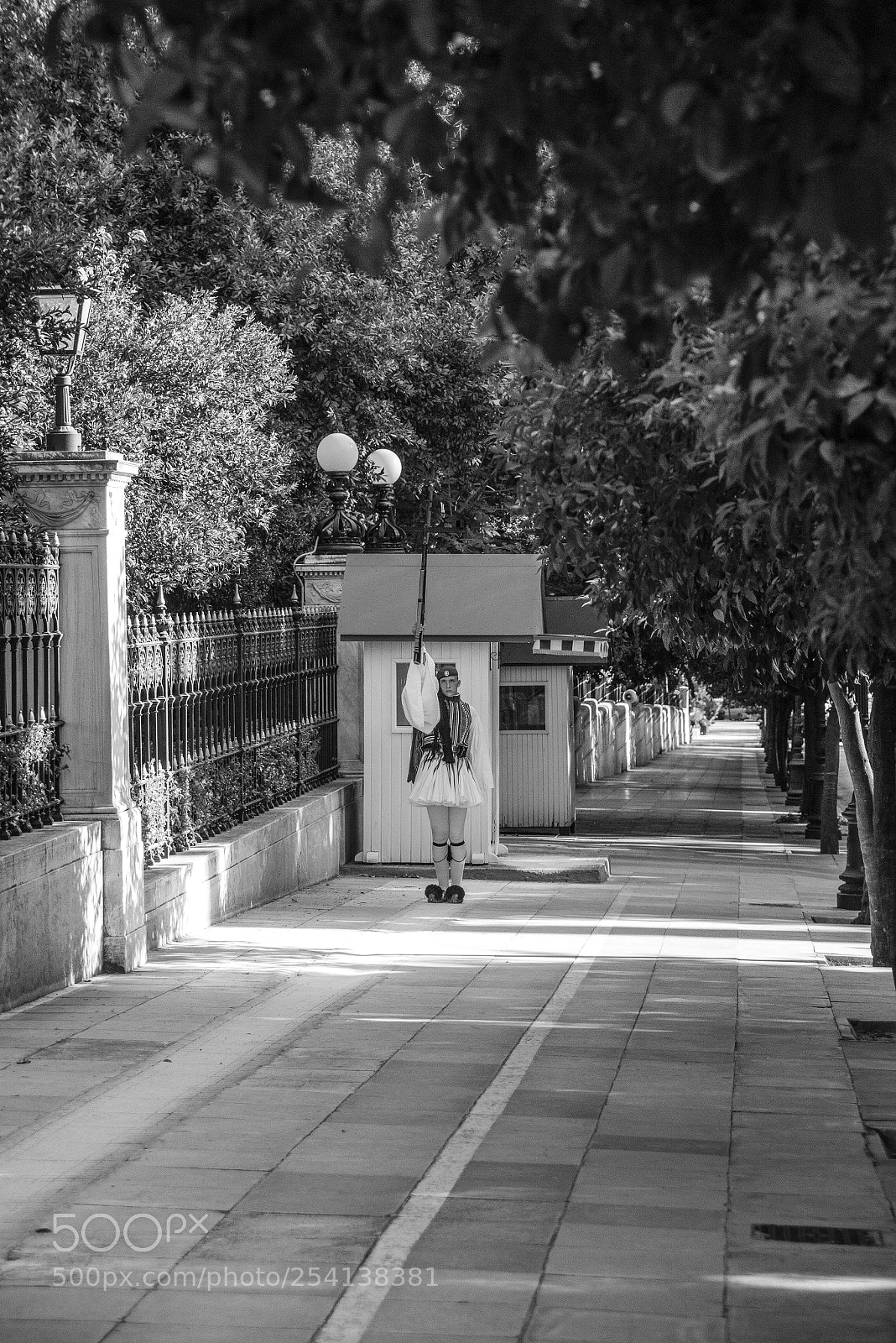 Nikon D800 sample photo. Greek presidential guards vol. 125 photography