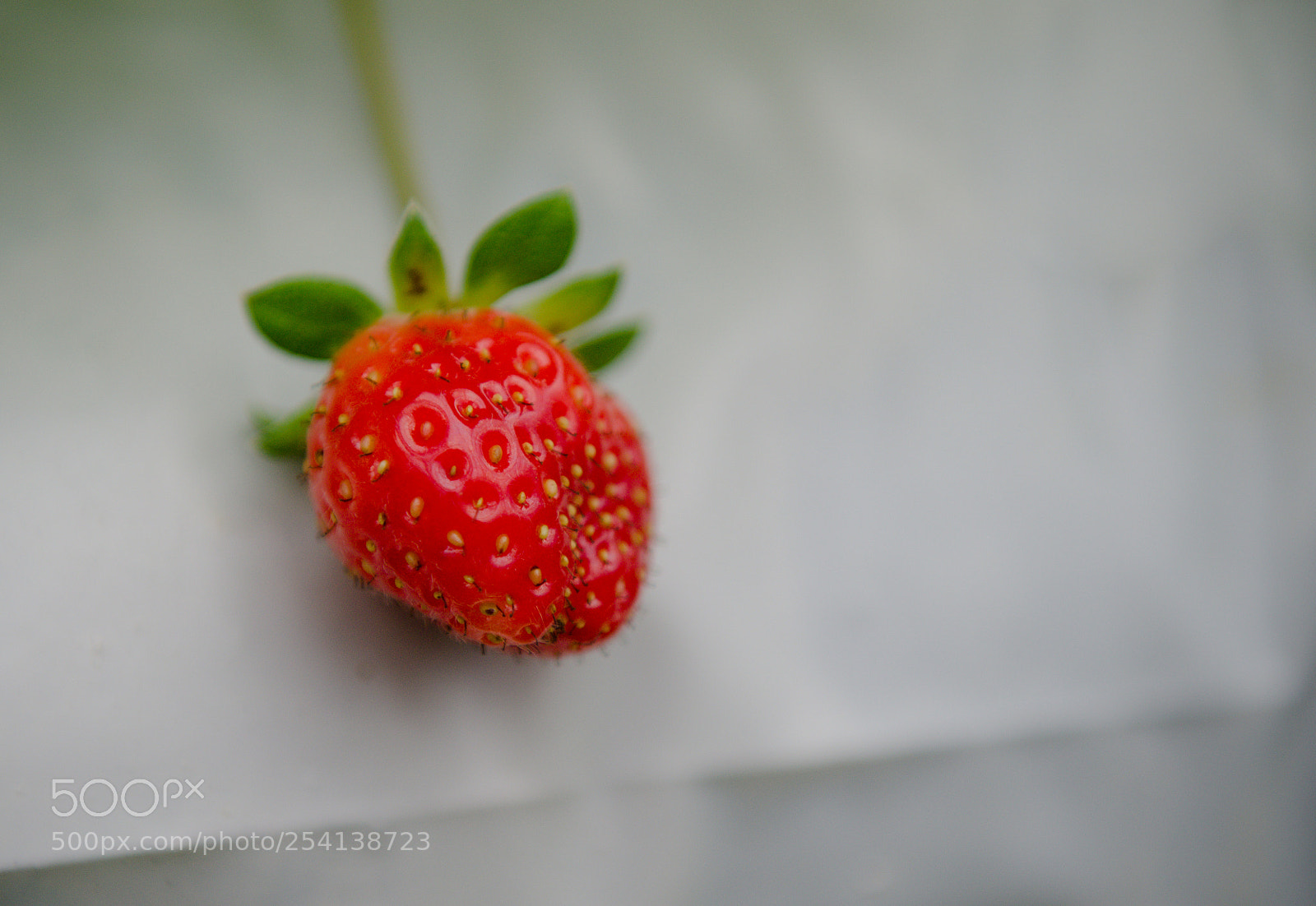 Nikon D7000 sample photo. Fresh red strawberry photography