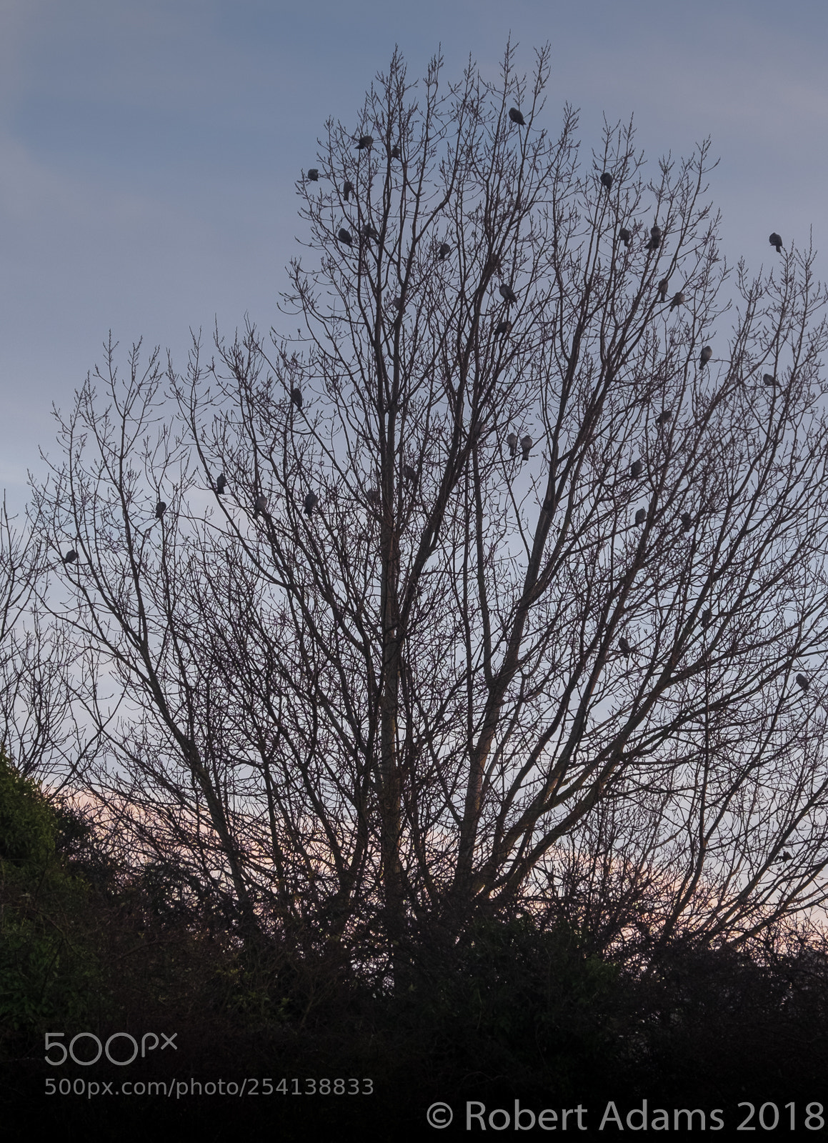Fujifilm X-T1 sample photo. Waiting for the sun photography