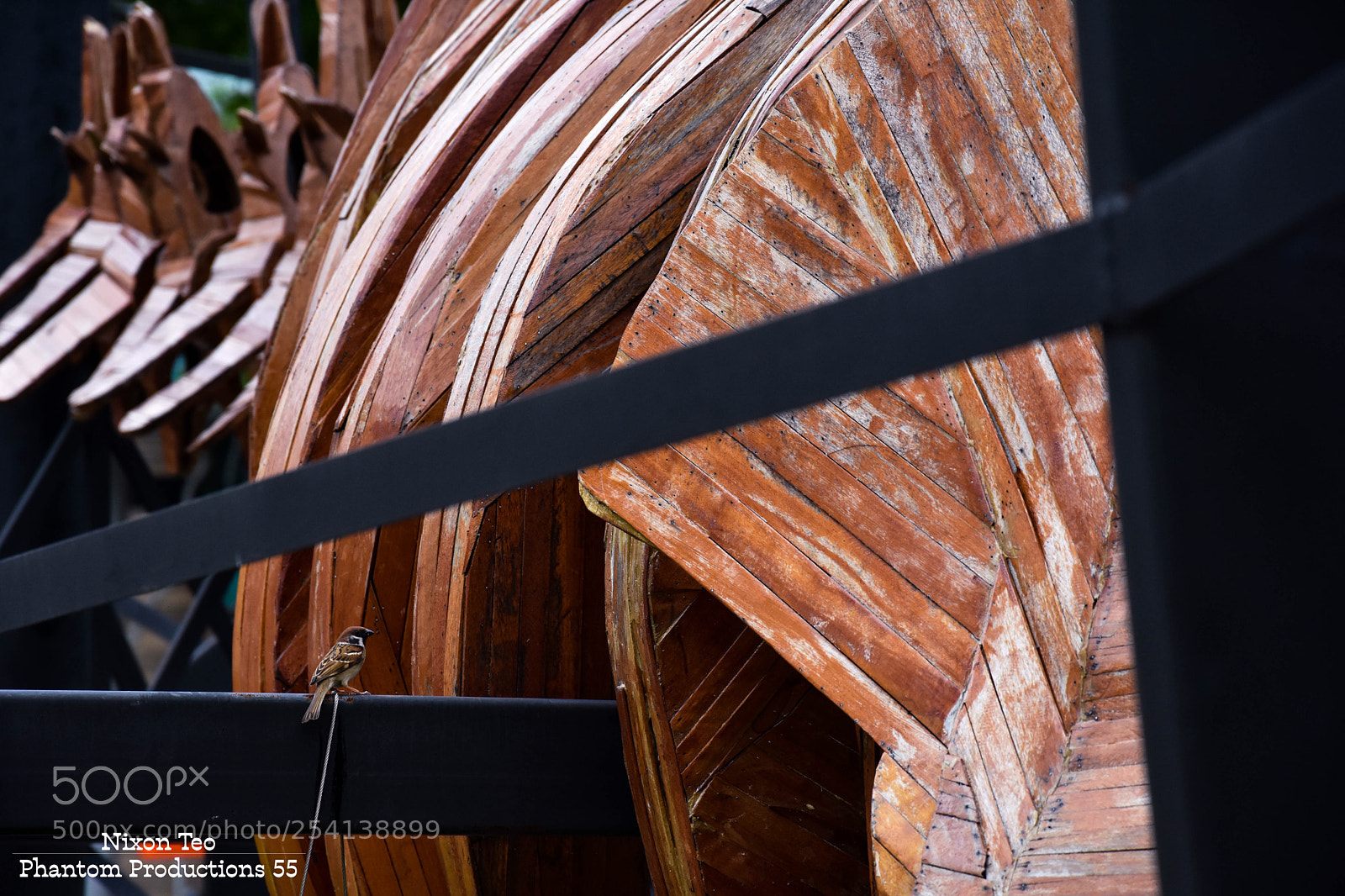 Nikon D7200 sample photo. Untitled photography