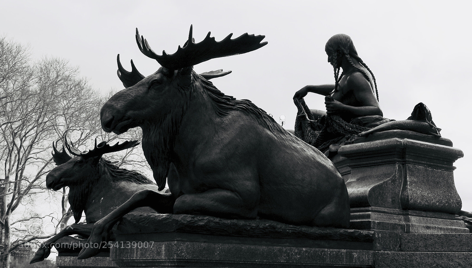 Nikon Coolpix P900 sample photo. Moose and girl photography