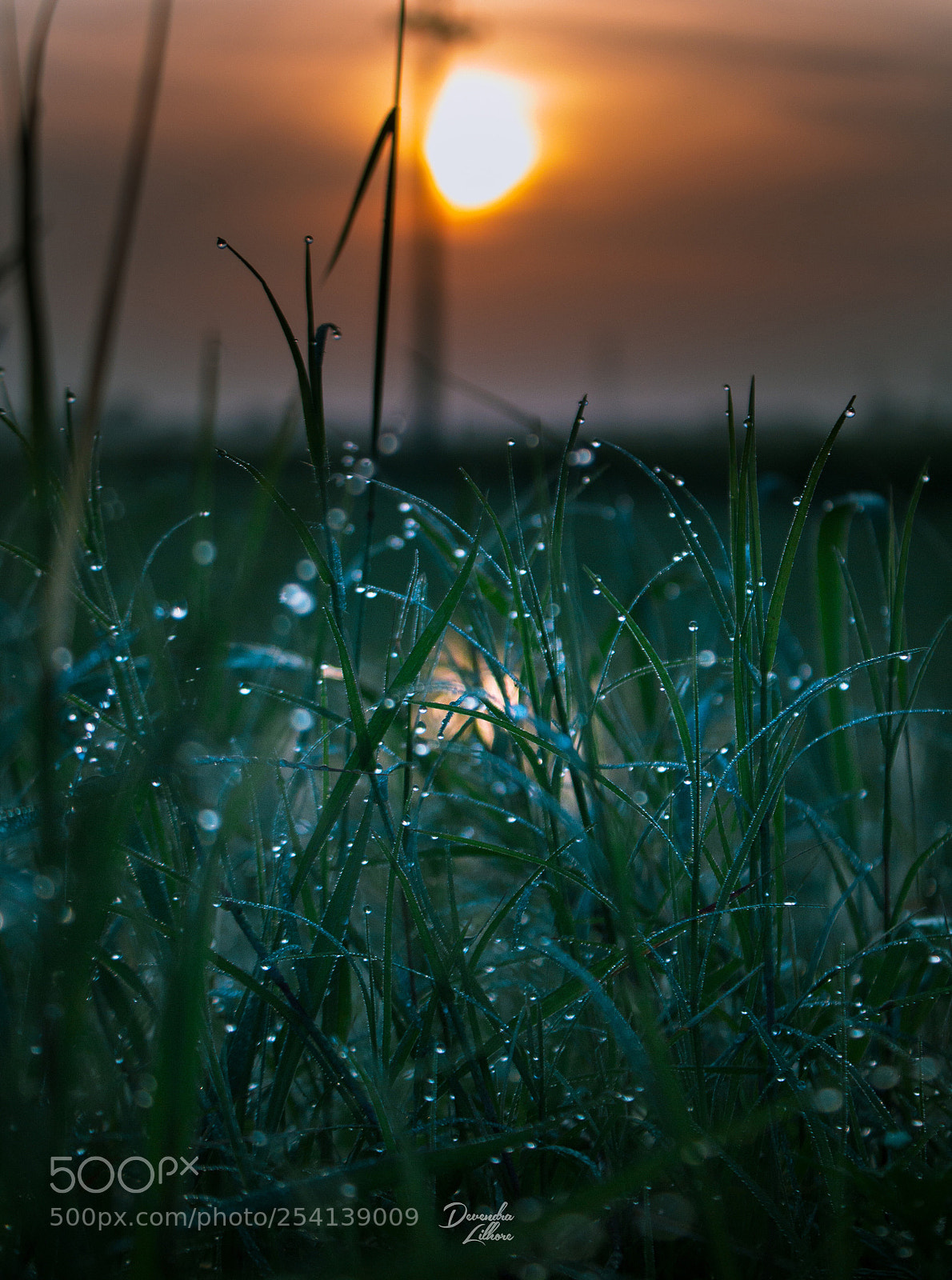 Canon EOS 1200D (EOS Rebel T5 / EOS Kiss X70 / EOS Hi) sample photo. Sunset photography