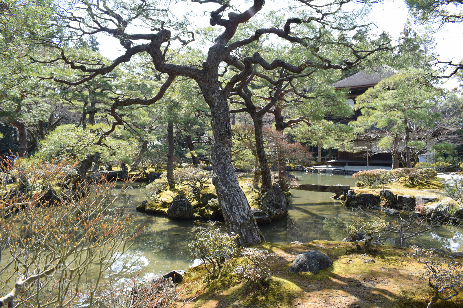 Nikon D5300 sample photo. Zen gardens photography